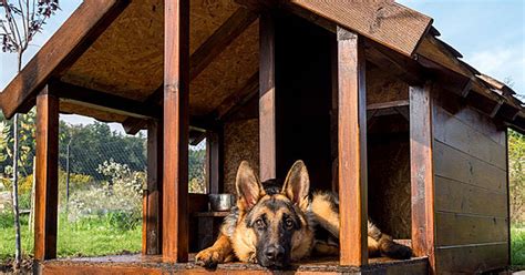 A lot of dog houses have the same popular design with a rectangular footprint and a pitched roof. 20 Free Diy Dog House Plans - Care.com