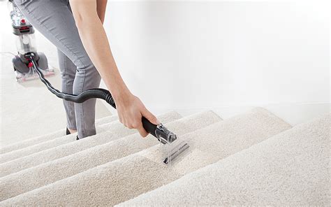 Carpets made just for pets: Types of Carpet Cleaners - The Home Depot