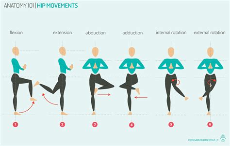 Hip Joint