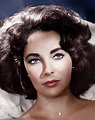 Perfect Elizabeth Taylor Eyes - Makeup, Eyelashes, & Eye Color!