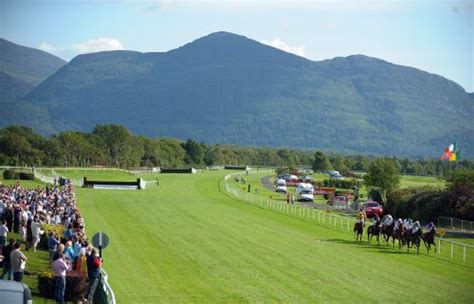About Racing Tours Ireland Horse Racing And Stable Tours