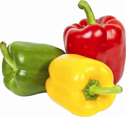 Pepper Vegetable Bell Peppers Clipart Transparent Chili