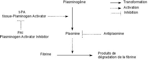 Fibrinolyse Pharmacorama