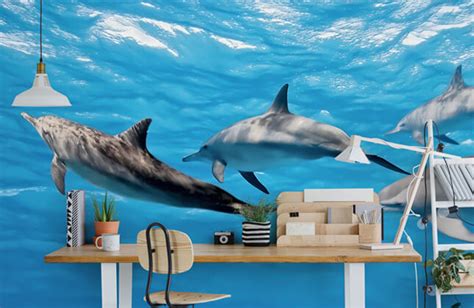 Dolphin Wallpaper And Wall Murals Wallsauce Us
