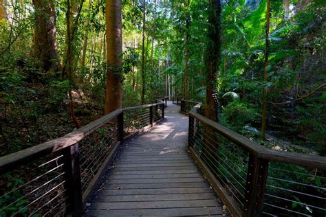 Camping On Fraser Island Travel Photography