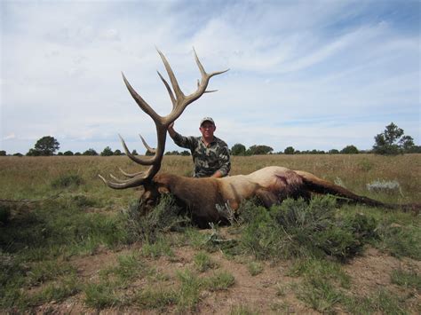 45 Elk Hunting Wallpaper