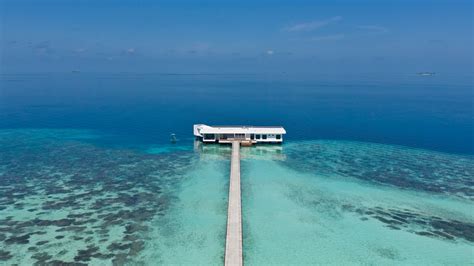 Como Cocoa Island Maldives Hotel Review Condé Nast Traveler