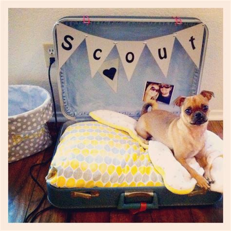 Vintage Suitcase Pet Beds By Finders Keepers Antiques And More Suitcase