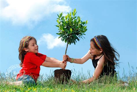 Consejos Y Razones Para Plantar árboles En Una Finca O Jardín Flores