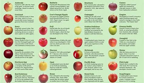 I made an infographic explaining how different apple varieties got