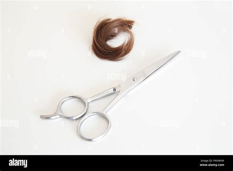 Lock Of Hair And A Haircut Scissor In A White Background Stock Photo