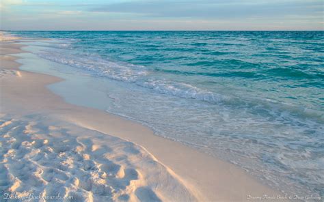 44 Florida Beach Pictures Wallpapers On Wallpapersafari