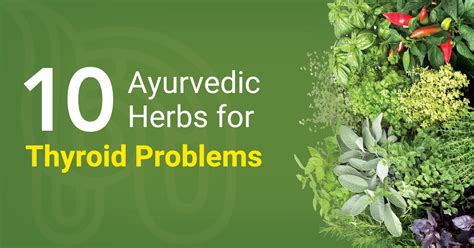10 Ayurvedic Herbs For Thyroid Problems Nirogam