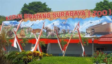 #manusia binatang terunik didunia #viral. Harga Tiket Masuk Kebun Binatang Surabaya Terbaru Januari 2016