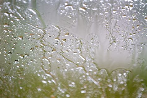 Free Images Glass Drops Rain Window Background Drop Dew