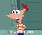 Phineas And Ferb Wheres Perry GIF - PhineasAndFerb WheresPerry Phineas ...