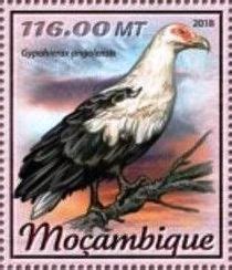 Stamp Palm Nut Vulture Gypohierax Angolensis Mozambique Birds Of