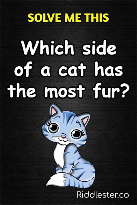 Which Side Of A Cat Has The Most Fur Riddle Answer Riddlester