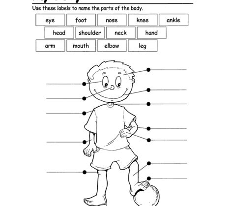 Welcome to esl printables, the website where english language teachers exchange resources: Body Parts Worksheets For Kids