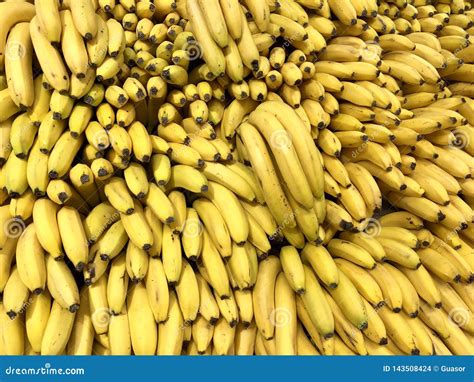 Many Fresh Yellow Bananas In Supermarket Food Concept Stock Photo
