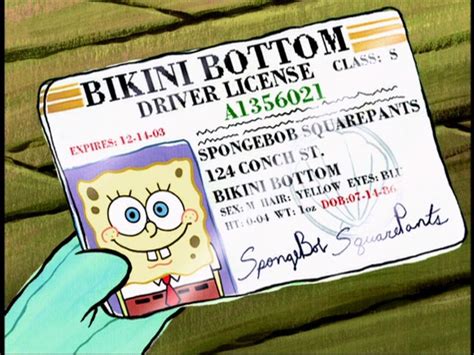 Spongebobs Drivers License The Adventures Of Gary The Snail Wiki
