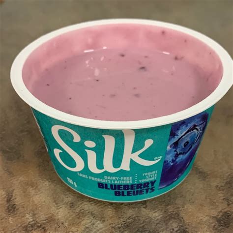 Silk Dairy Free Blueberry Yogurt Style Review Abillion