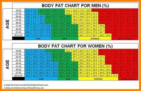 Bmi Or Body Fat Percentage Which Should I Focus On