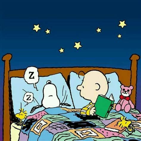 Pin By Pam Vickie Smith On Peanuts ♡ Goodnight Snoopy Snoopy Snoopy Love