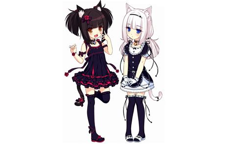 Neko Para Anime Girls Animal Ears Loli Wallpapers Hd Desktop And