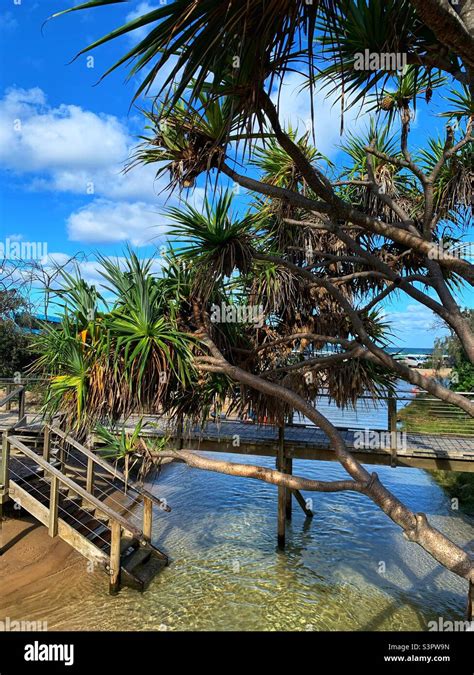Eli Creek Is A Tourist Attraction On Fraser Island Queensland