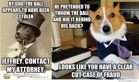 Old Money Dog Calls His Lawyer Weknowmemes Funny Dog Memes Dog