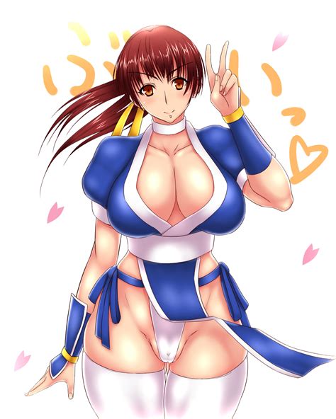 Kasumi Doa Dead Or Alive Tecmo Highres 1girl Breasts Cleavage