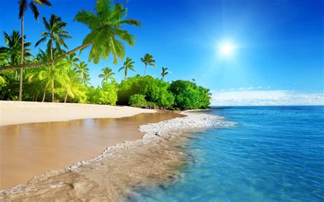 Wallpaper Sea Bay Shore Beach Coast Palm Trees Tropical Island