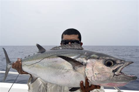 Fishing Andaman Angler