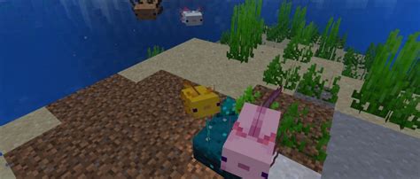 Where to find them, how to tame, caves & cliffs & more. The Spawn Chunks 120: Axolotls And A Lot Of RTX | The ...