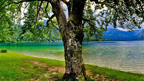 Fonds Decran 1920x1080 Lac Slovénie Bohinj Nature Télécharger Photo