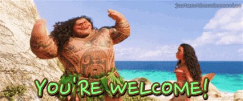 Maybe you would like to learn more about one of these? maui gifs | Tumblr