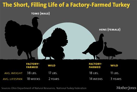 Companies within thriving industries tend to. Your Thanksgiving Turkey in 6 Eye-Popping Charts - Mother ...