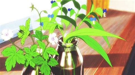 Plants Are Fascinating Scene Anime Aesthetic Anime Aesthetic 