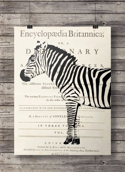 Zebra dictionary print - Vintage dictionary page zebra print