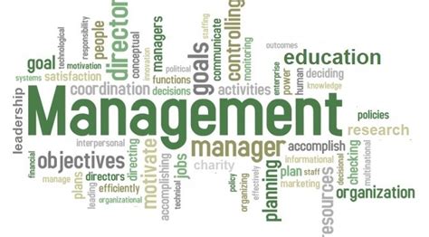 IIF: Management