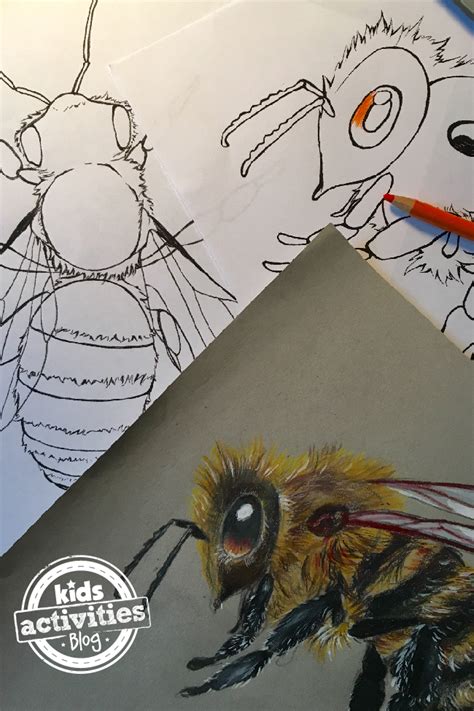 We have a simple bee colouring page for younger children and a lovely more detailed picture for older children showing a bee keeper collecting honey. Honey Bee Coloring Pages | FaveCrafts.com