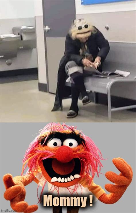 The Muppets Know Your Meme Memes Humor Np Humor Humou