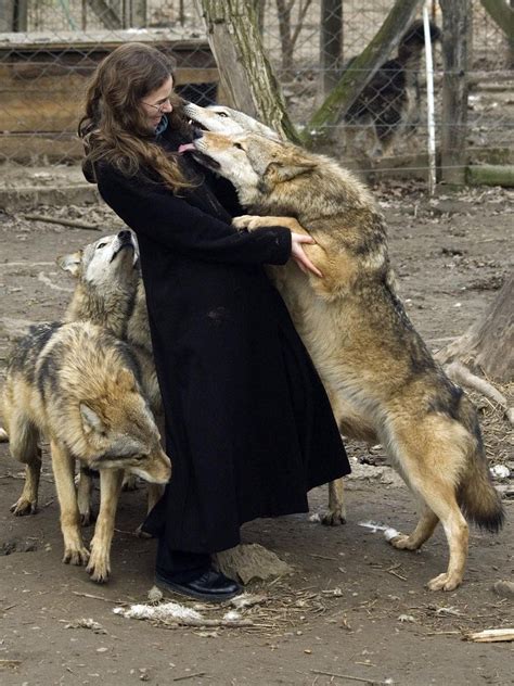 Kiss Of The Wolf By Szorny On Deviantart Wolf