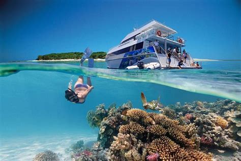 3 Day Southern Great Barrier Reef Tour Including Lady