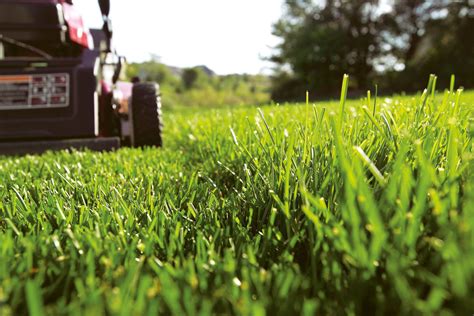 More arabic words for lawn mower. Mower Maintenance - New Zealand Handyman Magazine