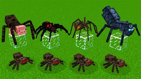 All Spiders Vs Minecraft Spiders Youtube