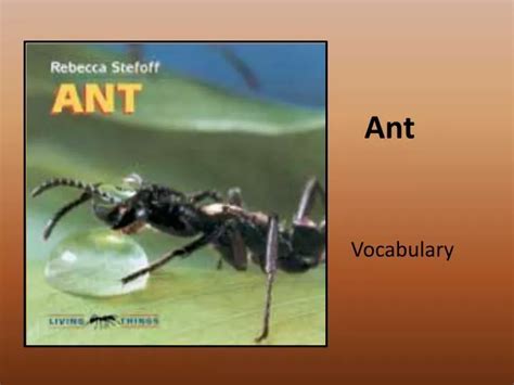 Ppt Ant Powerpoint Presentation Free Download Id2832885