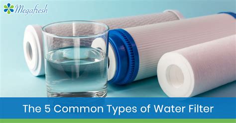 The 5 Common Types Of Water Filter Megafresh Water Filters