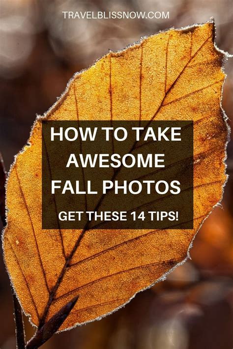 14 Photography Tips For Awesome Autumn Images Fall Photography Guide